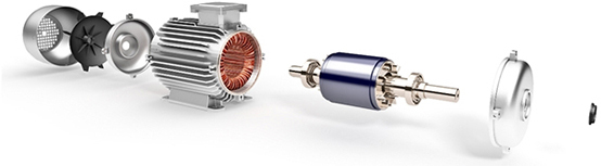 Pool, Pond, and Spa Products - Electric Motors