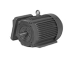 Explosion Proof T3 Frame Motor