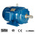 3HP 3600RPM 145T - Three Phase Motor
