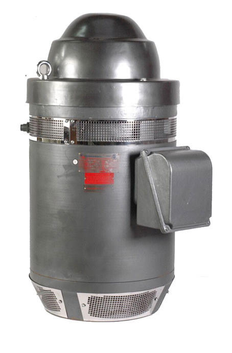 vertical hollow shaft motors